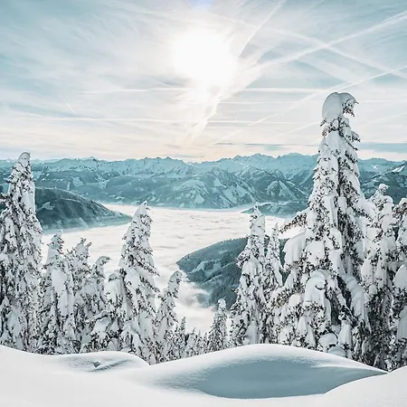 Szálloda Martini Inkluding Breakfast & Free Parking 3*